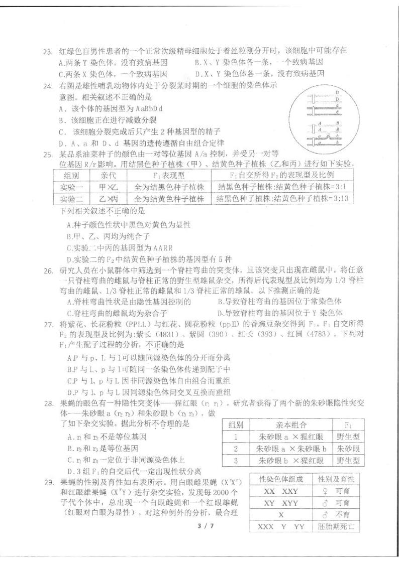 2024北京理工大附中高一下学期期中生物（等级考）试题 103