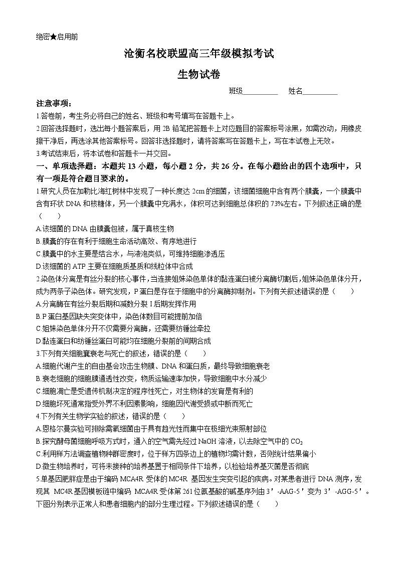 河北省沧衡名校联盟2023-2024学年高三下学期模拟考试（期中）生物试题+答案01