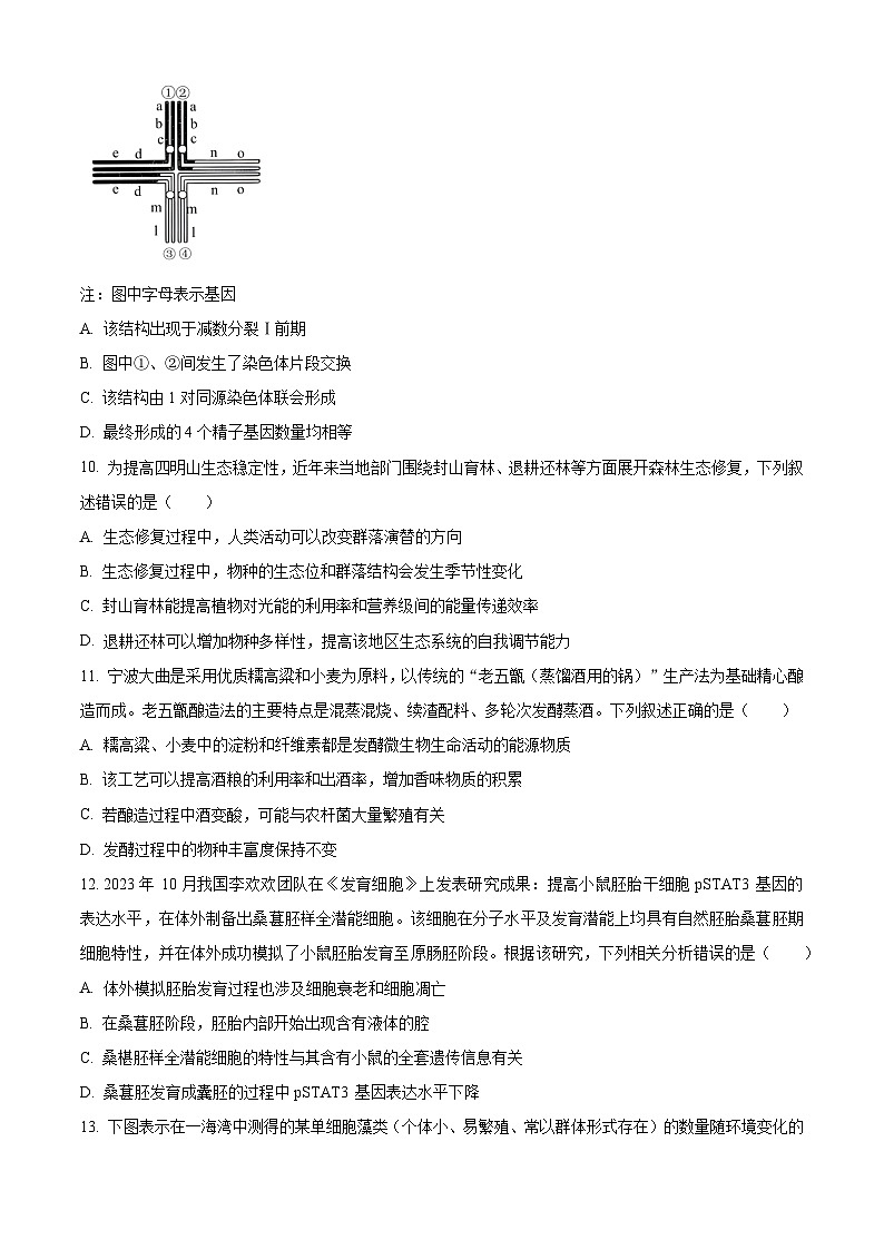 2024宁波高三下学期二模生物试题含解析03
