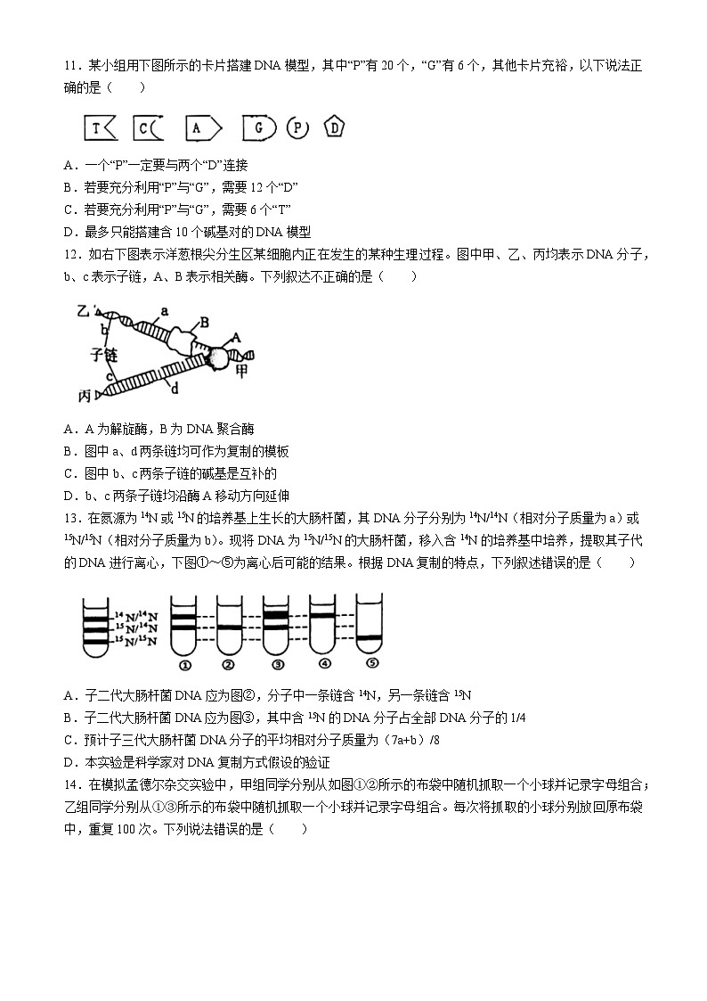 福建省福州市福州八县一中2023-2024学年高一下学期4月期中联考生物试题（Word版附答案）03