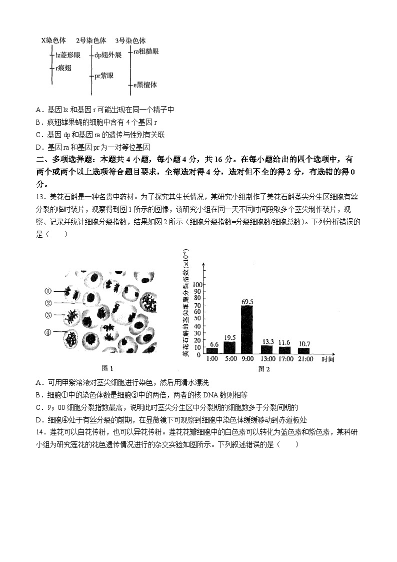 江西省部分学校2023-2024学年高一下学期4月期中生物试题（Word版附答案）03