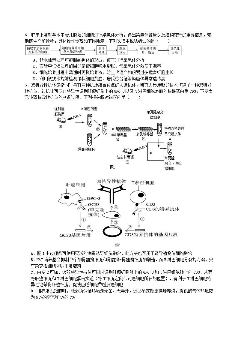 江西省南昌市第一中学2023-2024学年高二下学期4月期中生物试题（Word版附答案）02