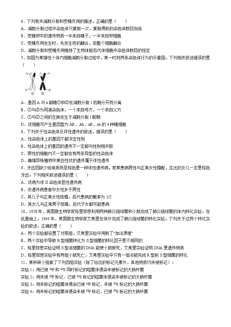 河北省沧州市运东四校2023-2024学年高一下学期4月期中考试生物试卷（Word版附解析）02