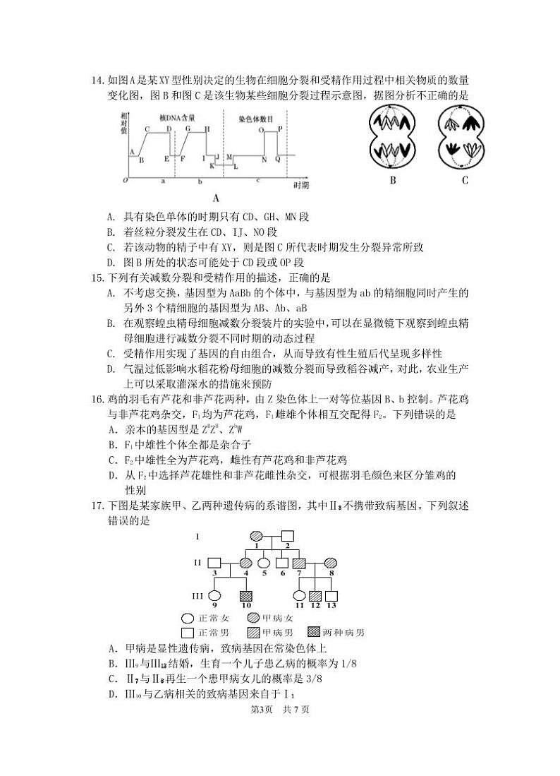 四川省绵阳南山中学2023-2024学年高一下学期期中考试生物试卷（PDF版附答案）03