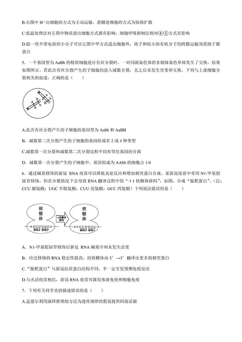 江苏省南通市海安高级中学2023—2024学年高三下学期第二次模拟考试生物试题02