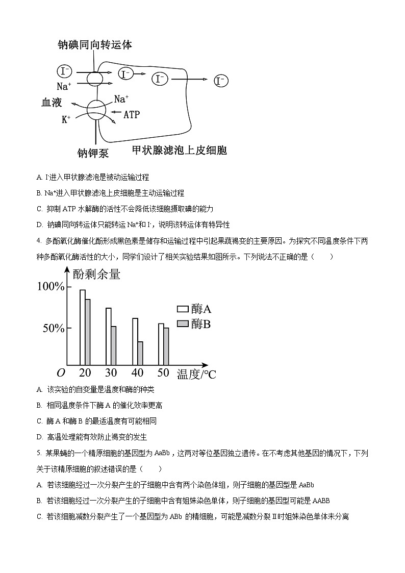 安徽省蚌埠市2024届高三下学期第四次教学质量检测生物试卷（Word版附解析）02