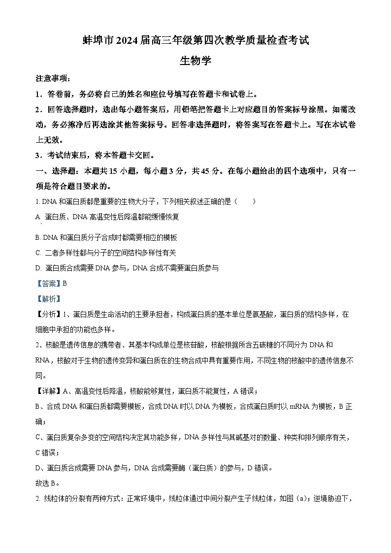 安徽省蚌埠市2024届高三下学期第四次教学质量检测生物试卷（Word版附解析）01