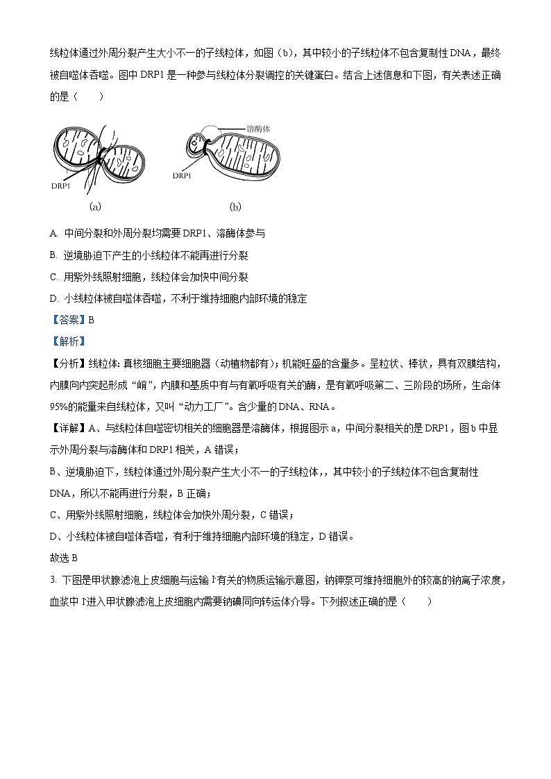 安徽省蚌埠市2024届高三下学期第四次教学质量检测生物试卷（Word版附解析）02