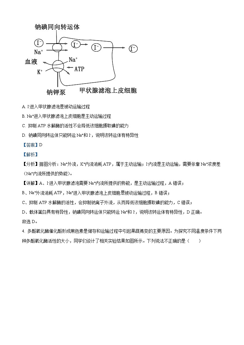 安徽省蚌埠市2024届高三下学期第四次教学质量检测生物试卷（Word版附解析）03