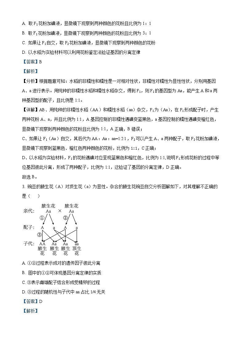 山西省长治市2023-2024学年高一下学期4月期中生物试题（原卷版+解析版）02