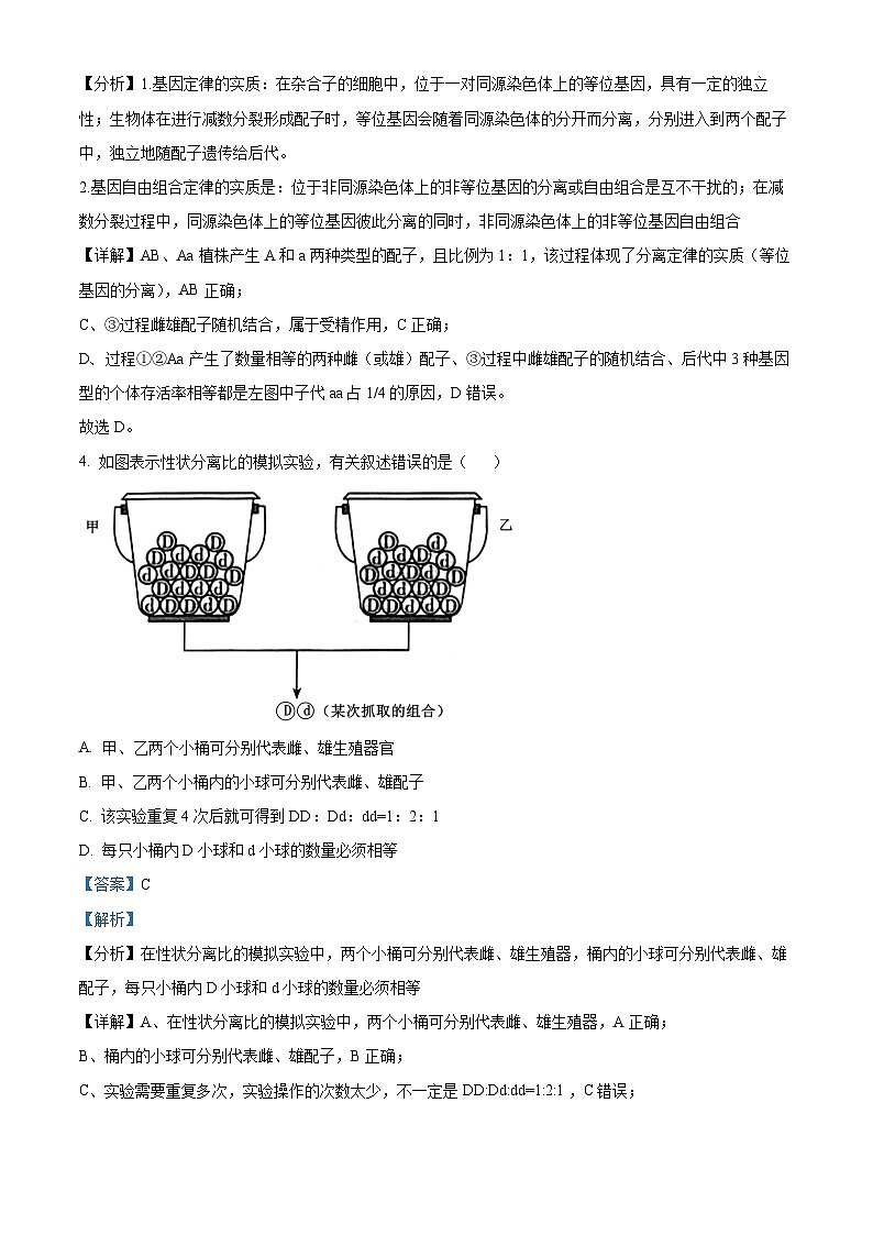 山西省长治市2023-2024学年高一下学期4月期中生物试题（原卷版+解析版）03