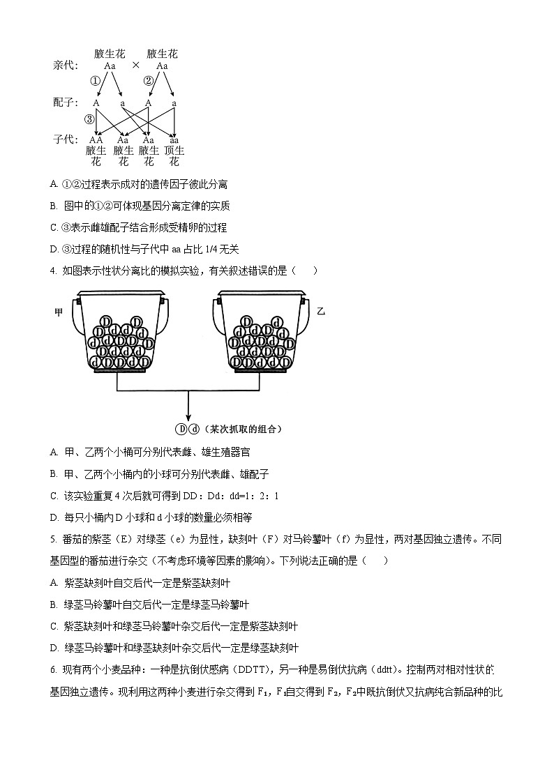 山西省长治市2023-2024学年高一下学期4月期中生物试题（原卷版+解析版）02