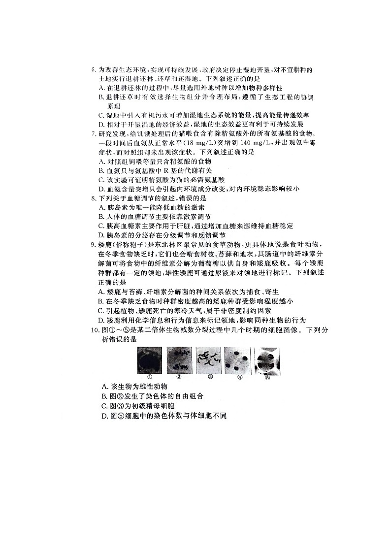 2024年4月江西压轴卷生物模拟一试卷第2页