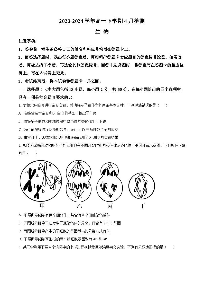 河南省许昌高级中学2023-2024学年高一下学期4月月考生物试题（Word版附解析）01