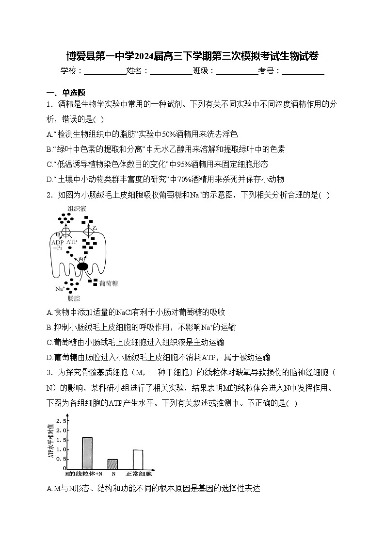 博爱县第一中学2024届高三下学期第三次模拟考试生物试卷(含答案)01