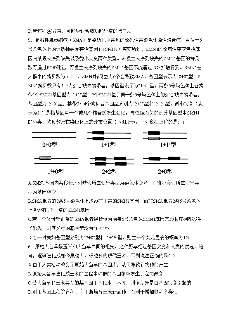 河北省保定市2024届高考一模生物试卷(含答案)02