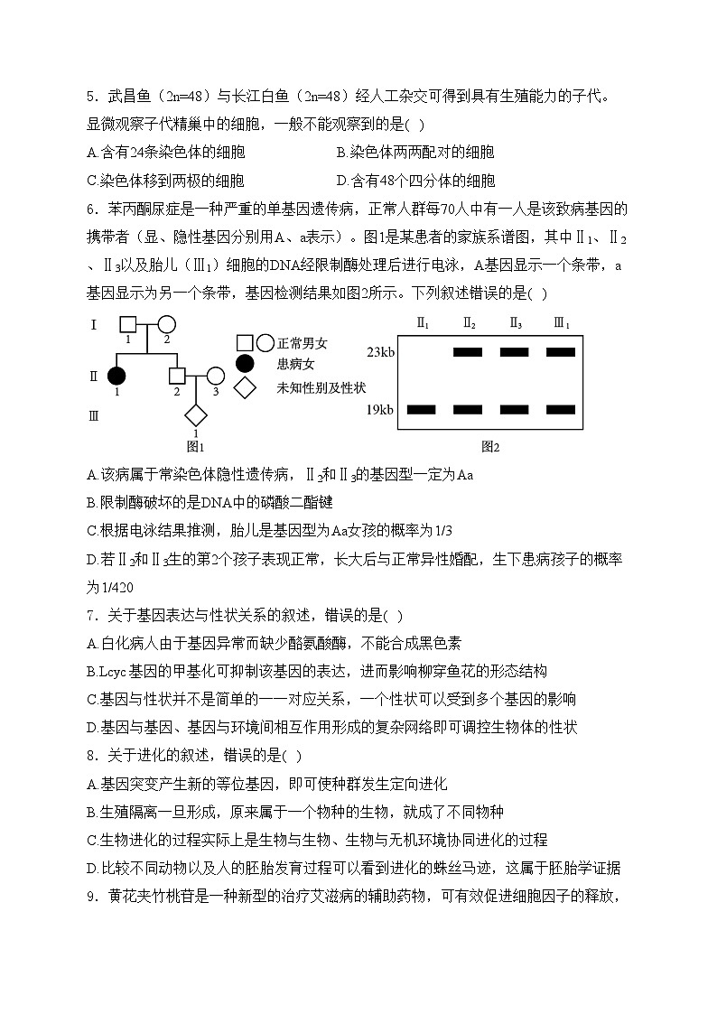河北省石家庄2024届高三质量检测（二模）生物试卷(含答案)02