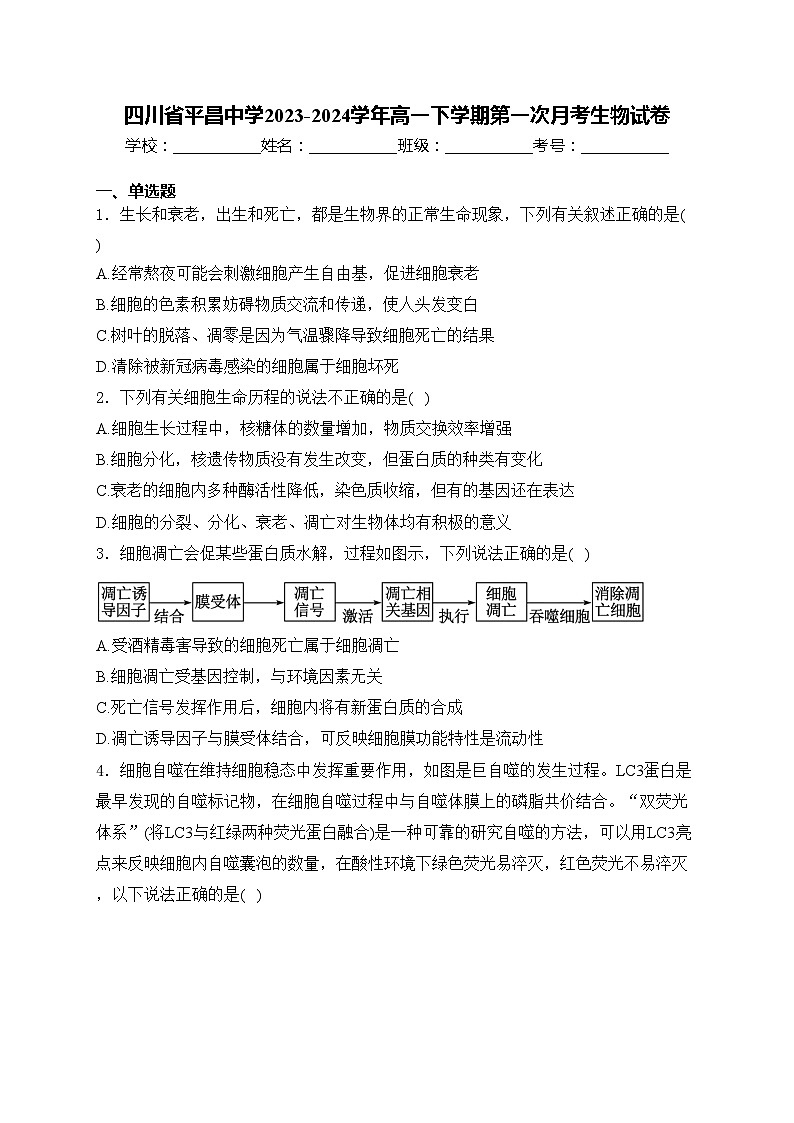 四川省平昌中学2023-2024学年高一下学期第一次月考生物试卷(含答案)01