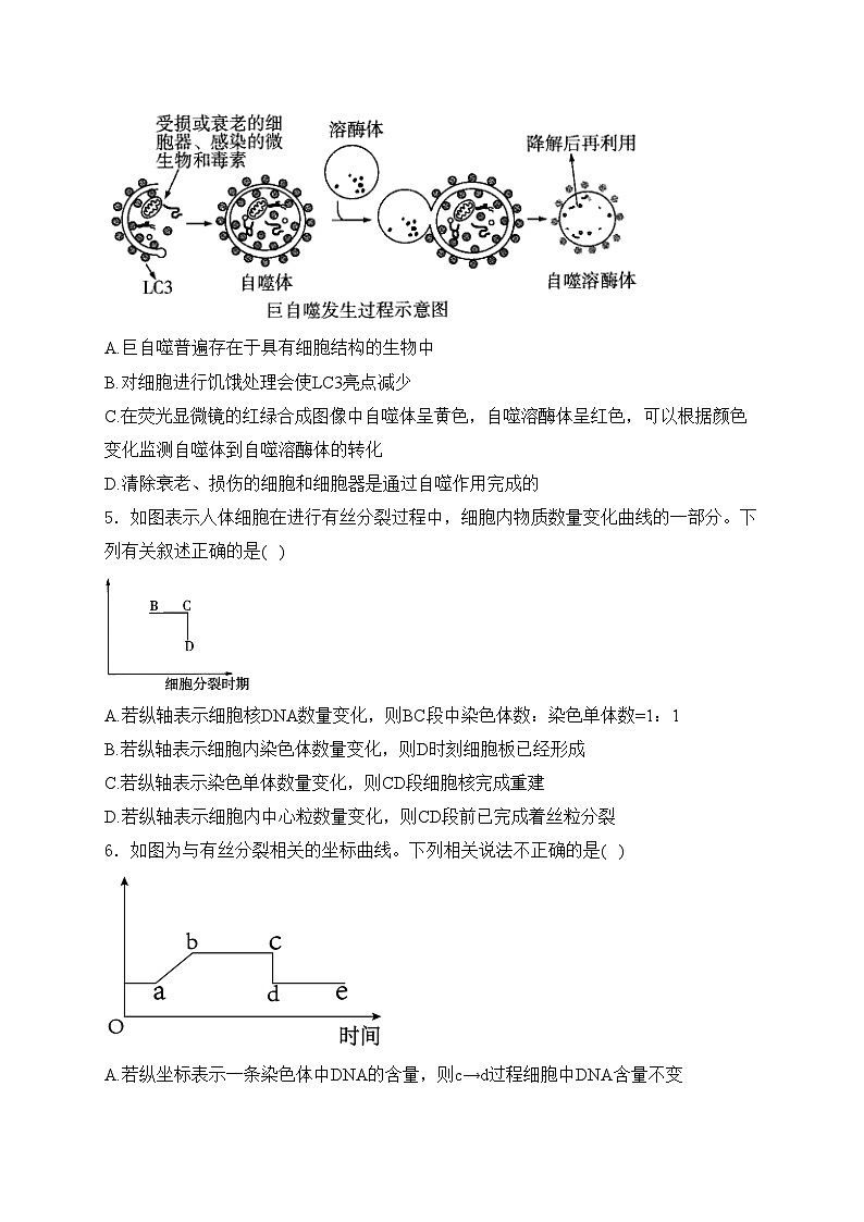 四川省平昌中学2023-2024学年高一下学期第一次月考生物试卷(含答案)02