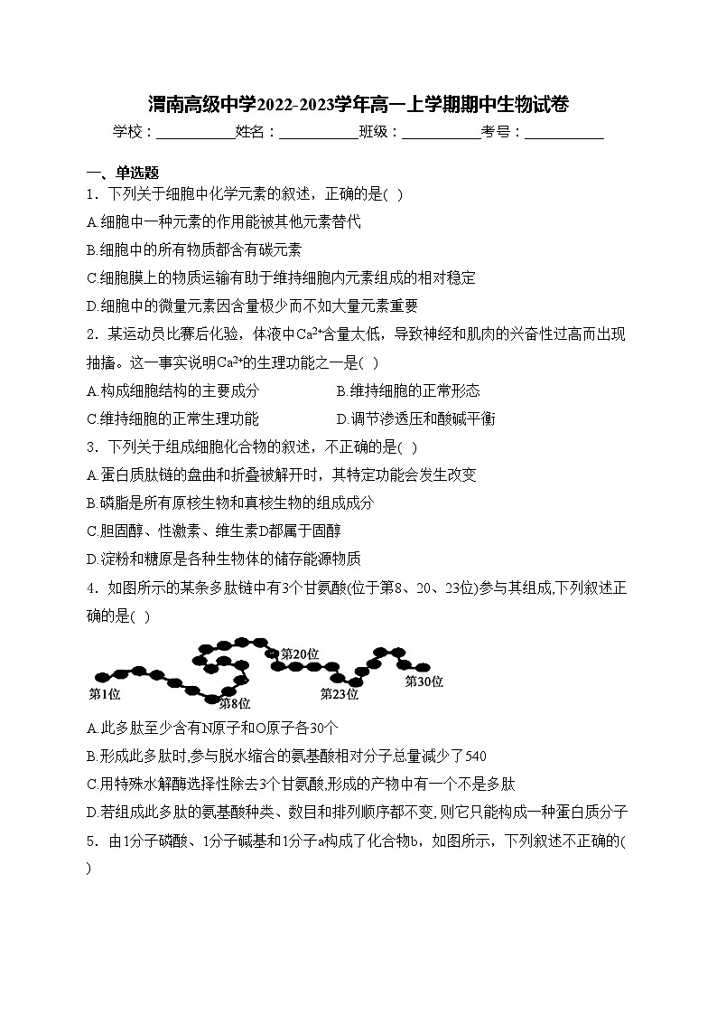 渭南高级中学2022-2023学年高一上学期期中生物试卷(含答案)01