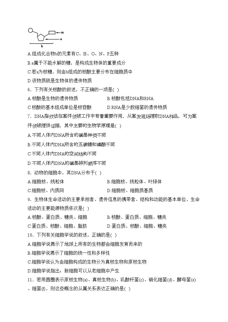 渭南高级中学2022-2023学年高一上学期期中生物试卷(含答案)02