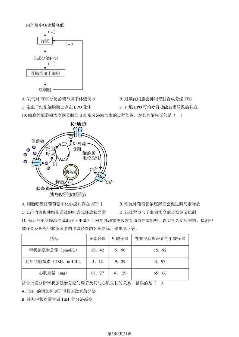 2023 北京八中高二上学期期中生物试卷1第3页