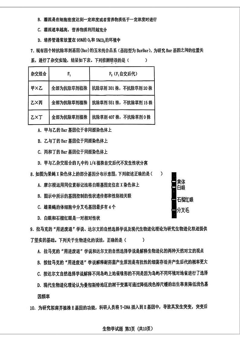 2024届湖北省高三十一校第二次联考生物试题第3页