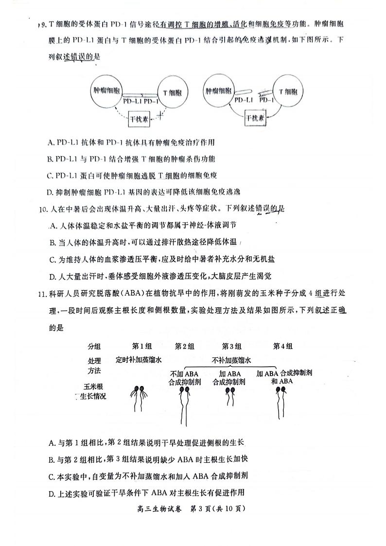 北京市通州区2024年4月高三年级模拟考试生物试题+答案（通州一模）03