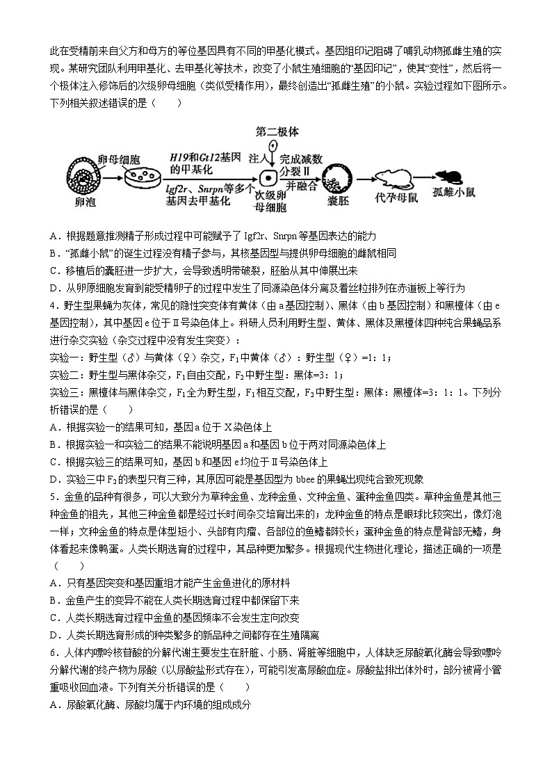 2024长沙雅礼中学高三下学期月考（八）生物含解析02