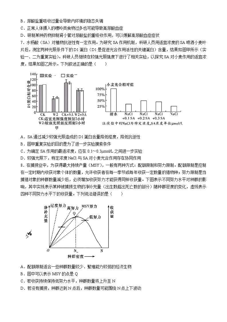 2024长沙雅礼中学高三下学期月考（八）生物含解析03