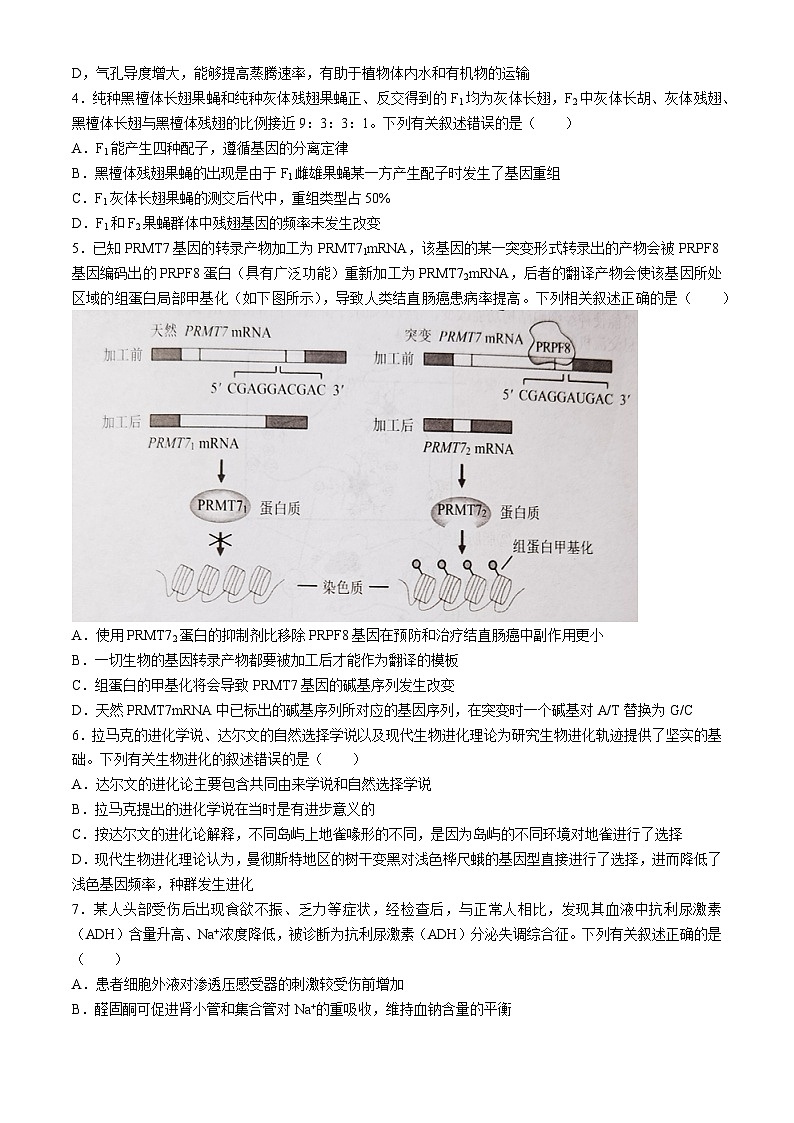 2024永州高三下学期第三次模拟考试生物含答案02