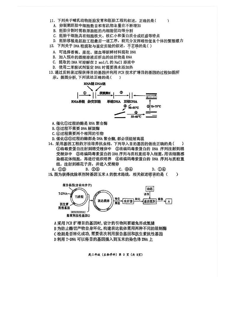2024北京中关村中学高二下学期期中生物试题及答案试卷 103