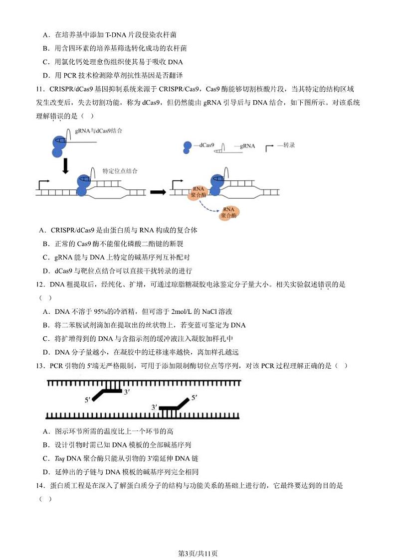 2024北京丰台高二下学期期中生物（A卷）试题及答案试卷03