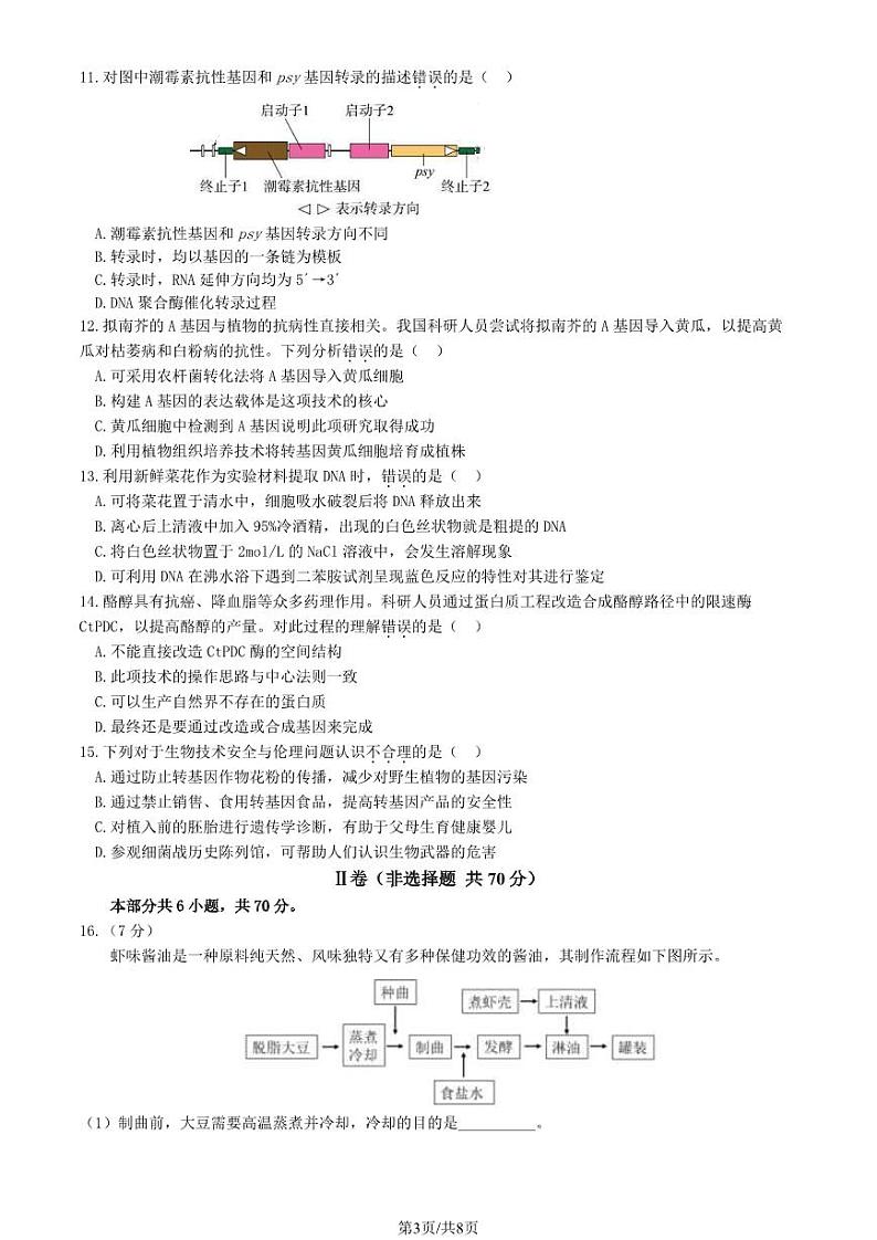 2024北京丰台高二下学期期中生物（B卷）试题及答案试卷03