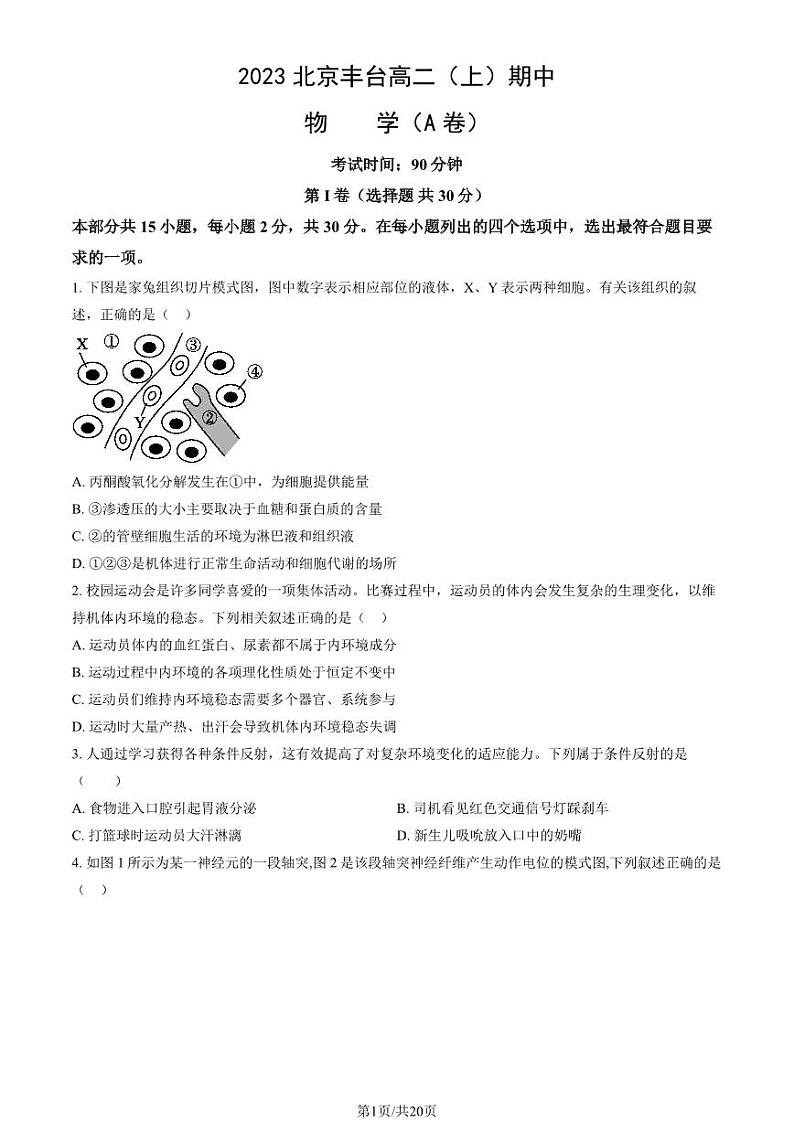 2023 北京丰台高二上学期期中生物试卷 (A卷)第1页