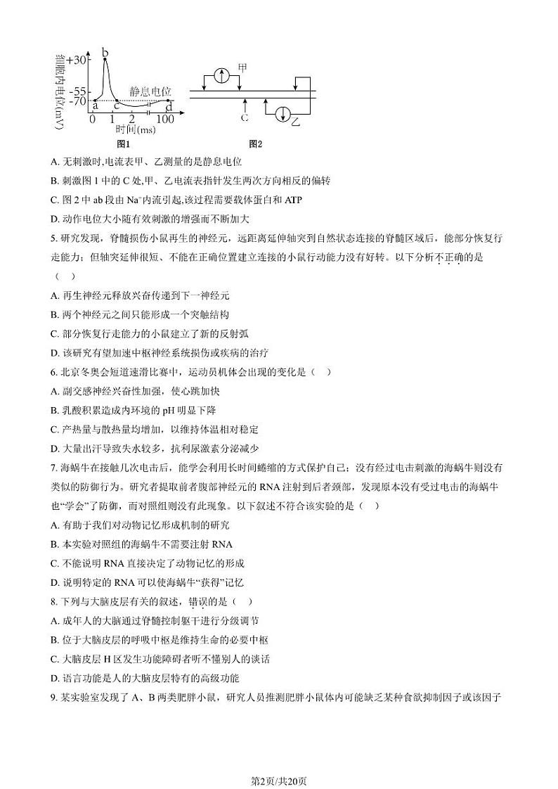 2023 北京丰台高二上学期期中生物试卷 (A卷)第2页