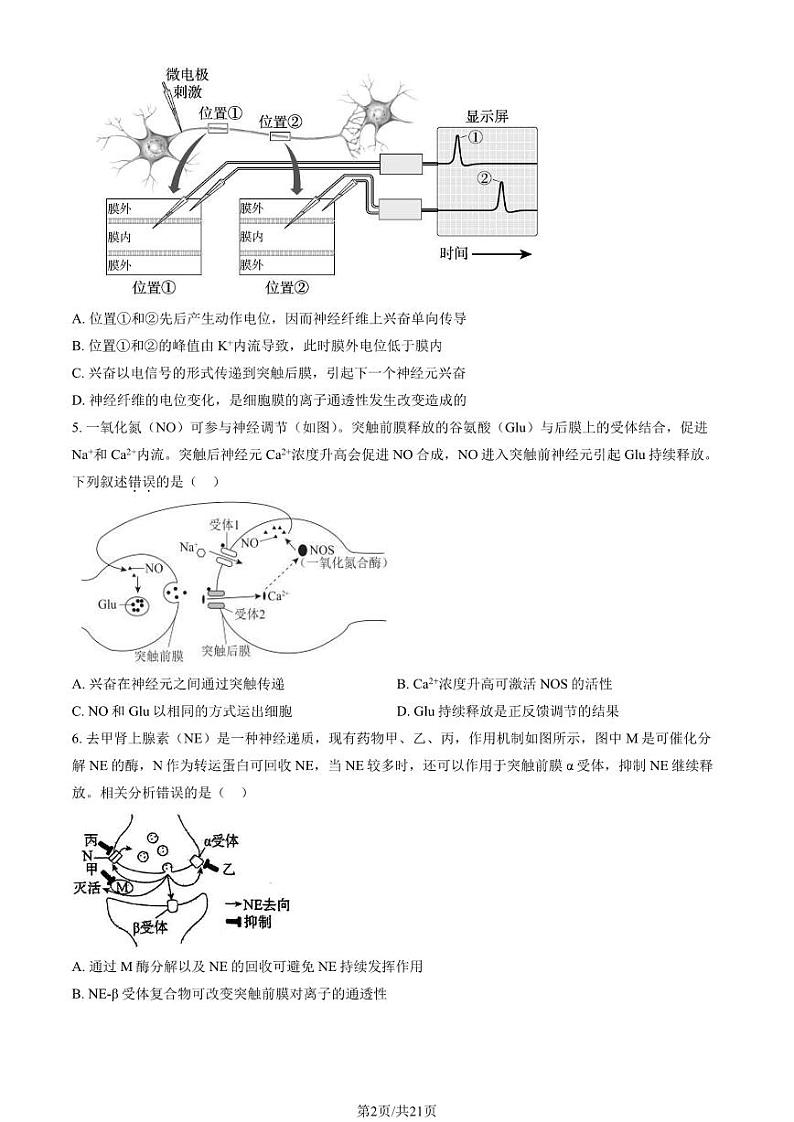 2023 北京广渠门中学高二上学期期中生物试卷02