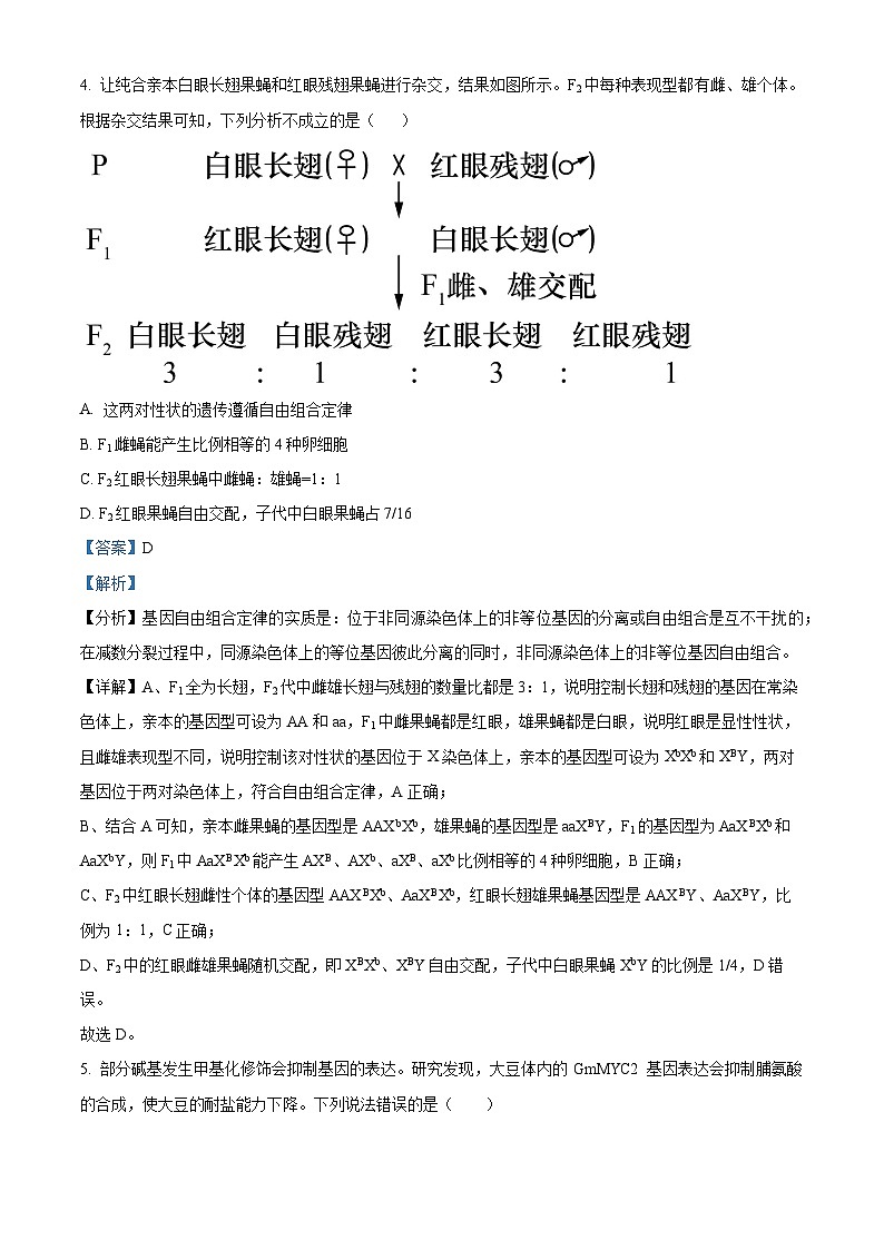 辽宁省凌源市2023-2024学年高三下学期第三次模拟考试生物试卷（解析版）第3页