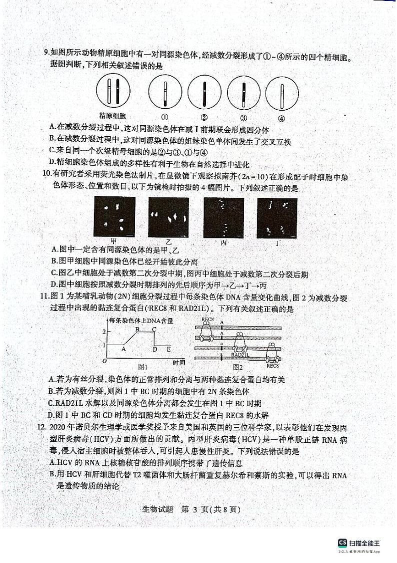 山东省临沂市河东区2023-2024学年高一下学期4月期中生物试题03
