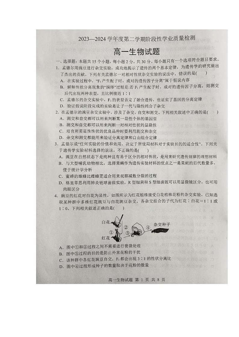 山东省临沂市莒南县2023-2024学年高一下学期期中考试生物试题01