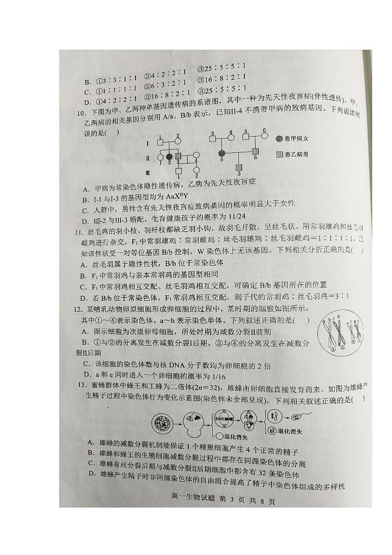 山东省临沂市莒南县2023-2024学年高一下学期期中考试生物试题03