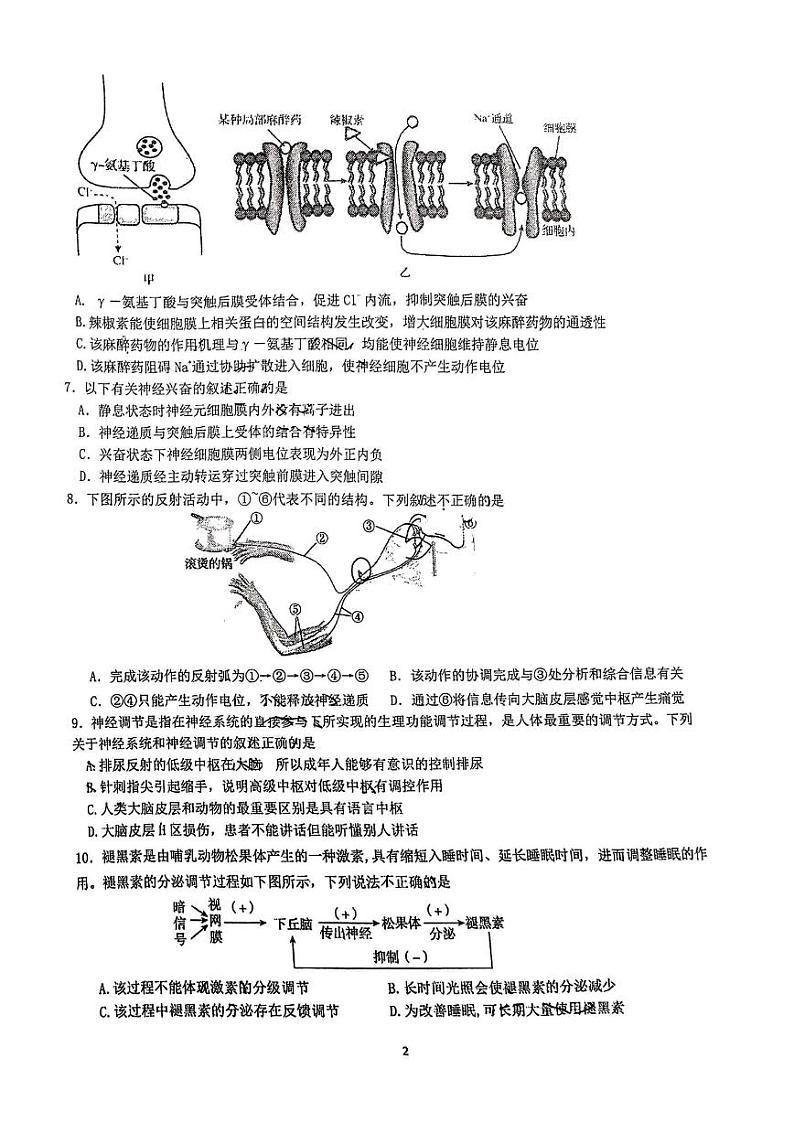 北京交大附中 2023-2024学年上学期期中练习高二生物试卷02