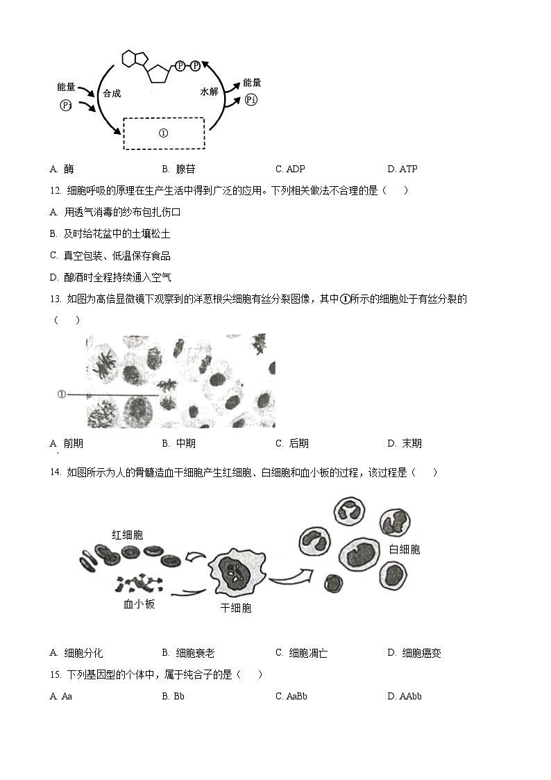 2023年1月福建省普通高中学业水平合格性考试生物试题（原卷版）第3页