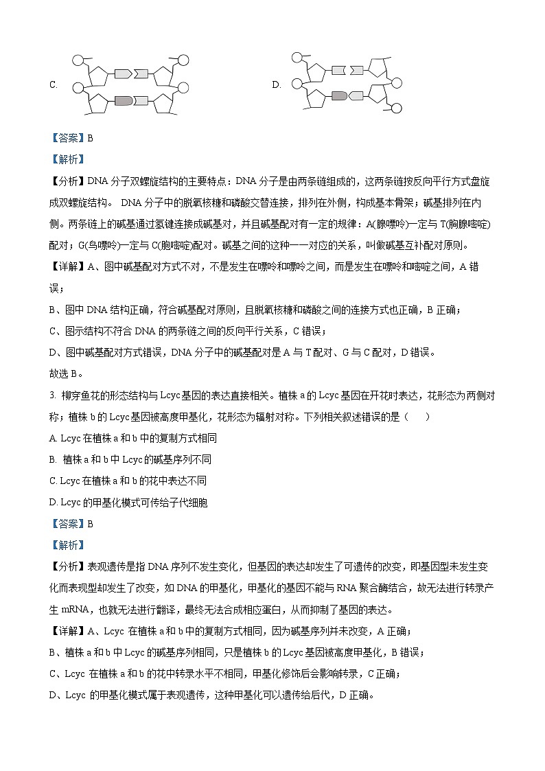 福建省龙岩市一级校联盟2023-2024学年高一下学期4月期中生物试题（解析版）第2页