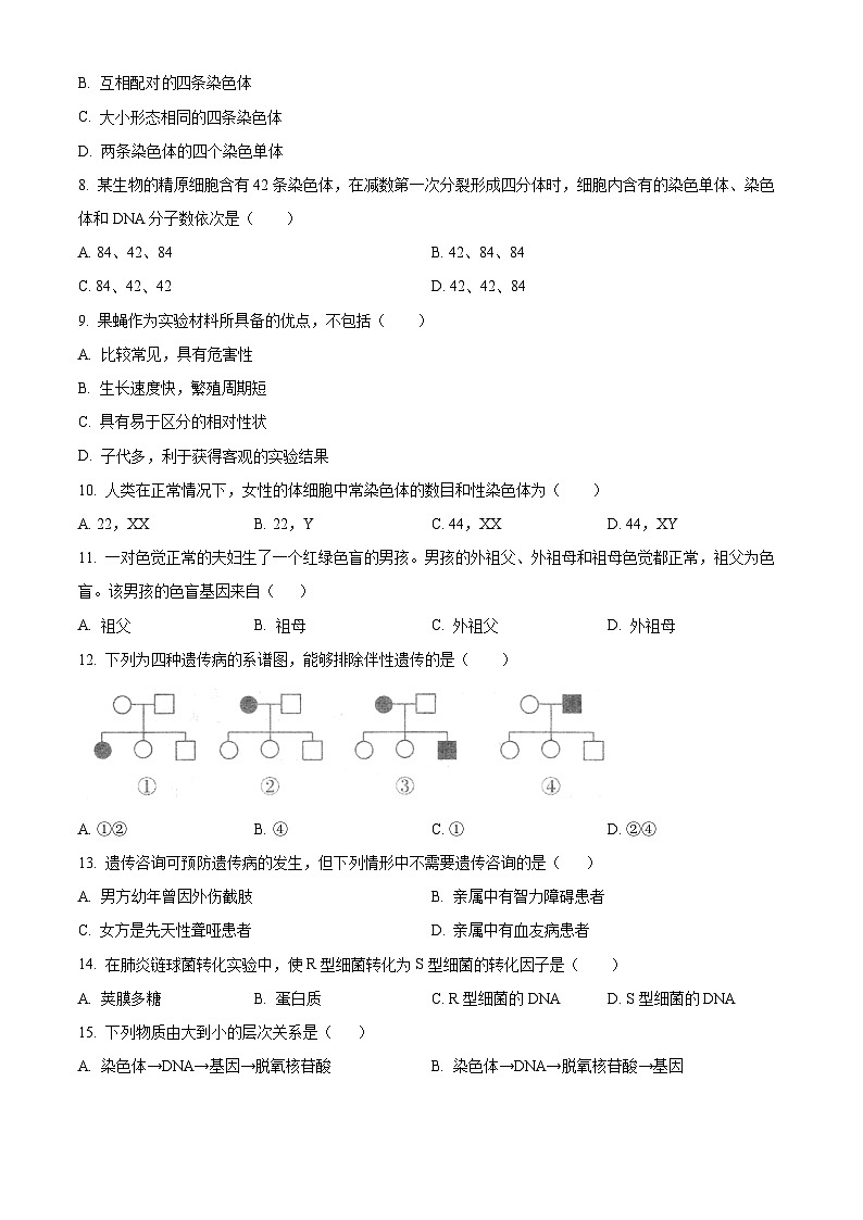 北京市海淀区北京理工大学附属中学2023-2024学年高一下学期4月期中生物试题（原卷版+解析版）02