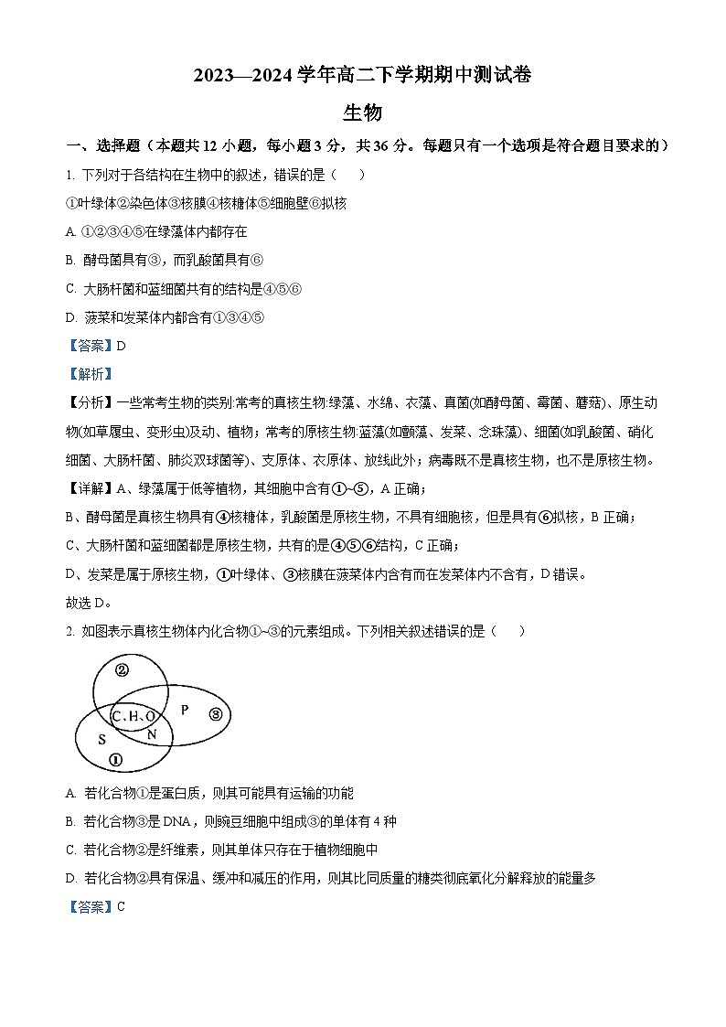 河南省部分名校2023-2024学年高二下学期期中联考生物试题（原卷版+解析版）01