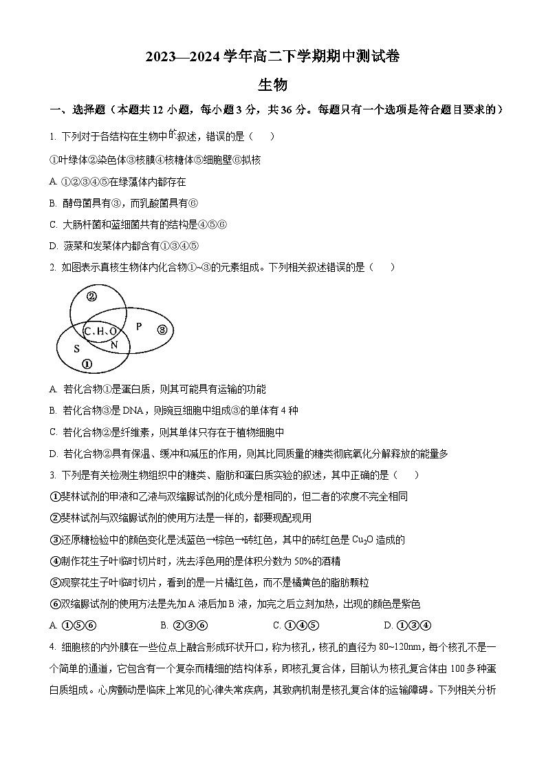 河南省部分名校2023-2024学年高二下学期期中联考生物试题（原卷版+解析版）01