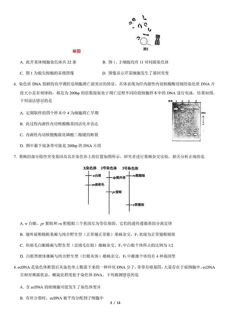 2021北京朝阳高三上学期期中生物试卷及答案02