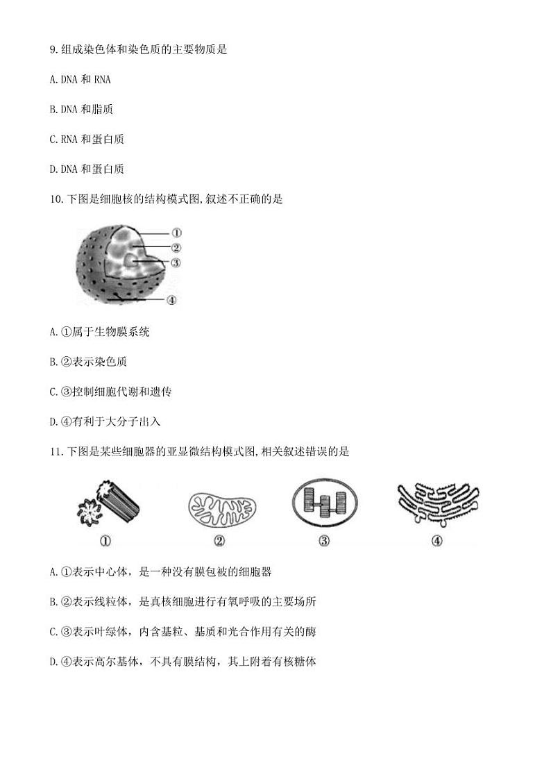 2022北京北师大实验中学高一上学期期中生物试卷及答案1第3页