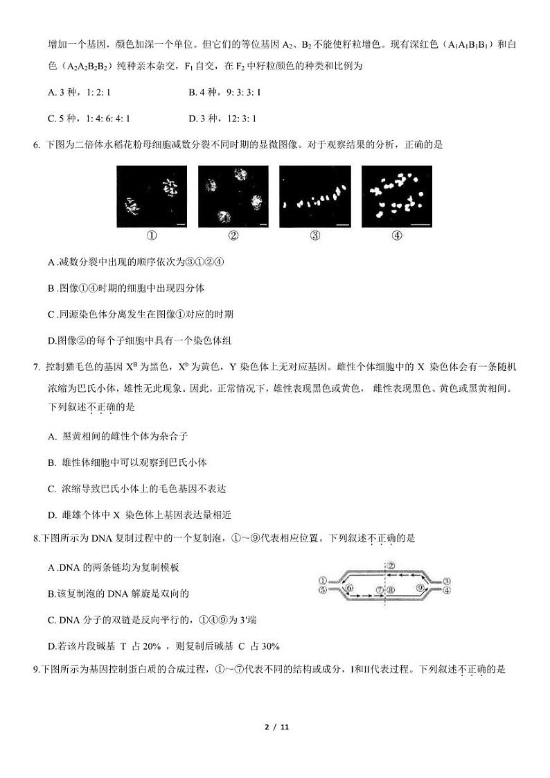 2021北京海淀高三上学期期中生物试卷及答案102